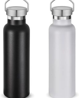 20 oz Insulated Water Bottles Bulk 2 Pack,Stainless Steel Double Wall Sport Bottle with Lid of Handle,Metal Reusable es Flask for School,Cyclists,Hikers,Gift (Mix,Set of 2)