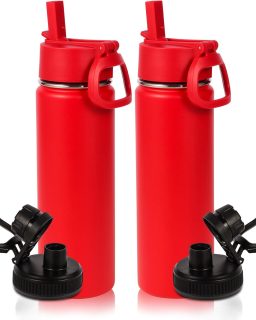 20oz Insulated Stainless Steel Water Bottle With Straw Lid Bulk 2 Pack,Kids Double Wall Vacuum Cups With Handle,Reusable Outdoor Sports Camping Metal Bottles,Travel Flask Keep Cold(Red,2)