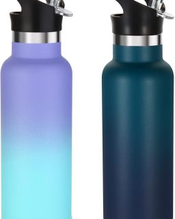 17oz Insulated Water Bottle Bulk 2 Pack,Stainless Steel Kids Water Bottles with Straw Lid,Double Wall Vacuum Metal Water Flask,Reusable Sports School Cups Keep Hot & Cold (Assorted,2 Set)